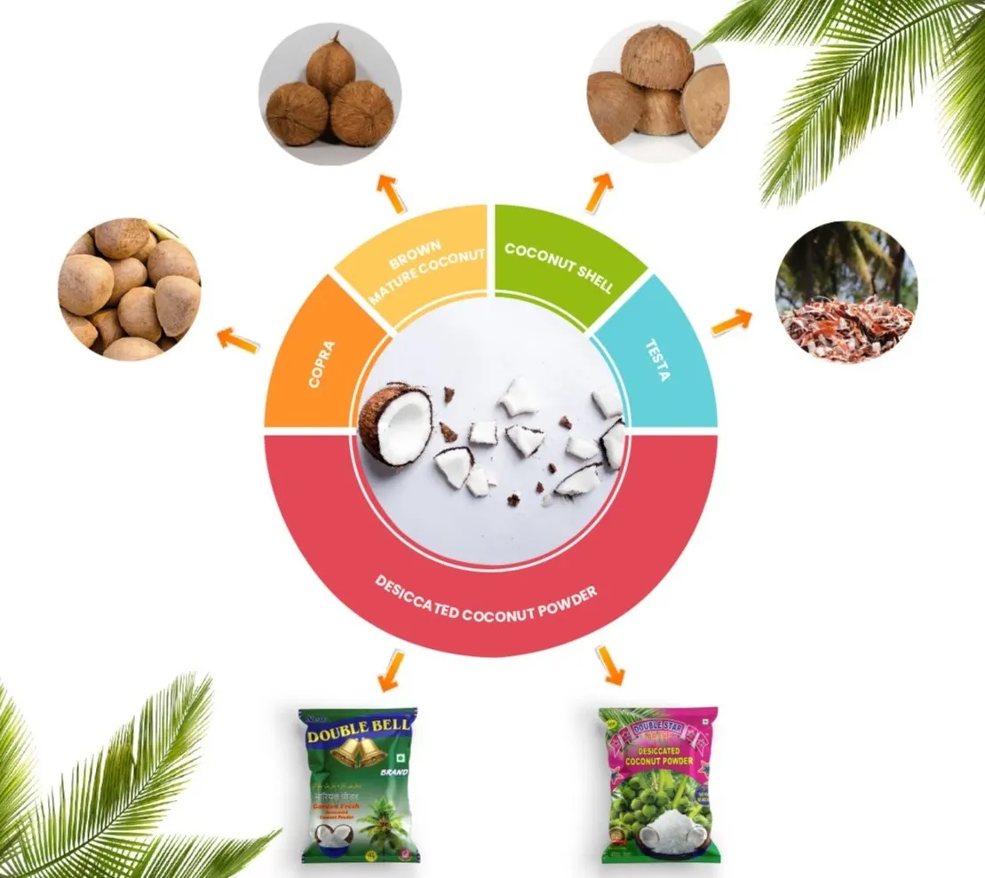 Coconut products cycle — brown mature coconut, copra, shell and testa flowing into Double Bell and Double Star desiccated coconut powder