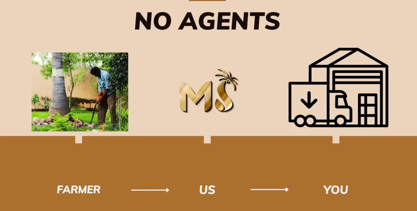 No agents — coconuts move directly from the farmer to M.S. Coconut Industries to you