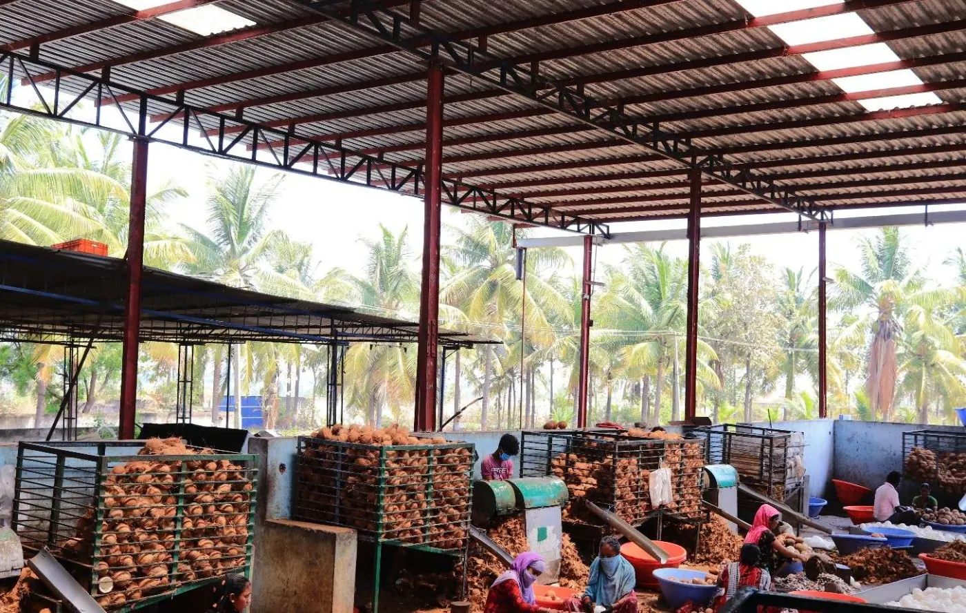 Open coconut husking shed at M.S. Coconut Industries with coconut palms behind, Karnataka